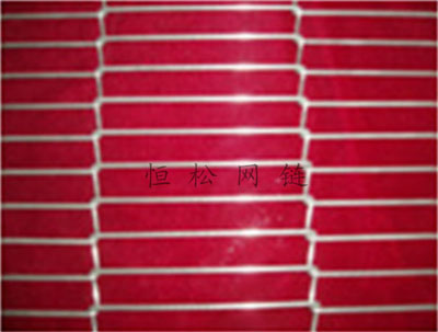 我厂主要产品有乙型网带系列产品，欢迎前来订购
